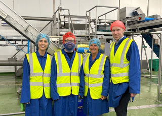 four people stand in high vis jackets with hair nets in a potato sorting factory